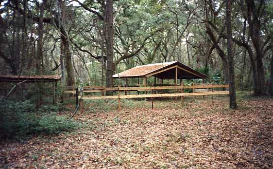 1980 Horse corral - old barn left - new barn right.jpg